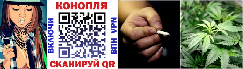как найти   Бокситогорск  Конопля AK-47 