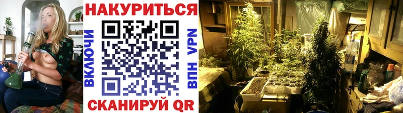 Канабис White Widow Бокситогорск